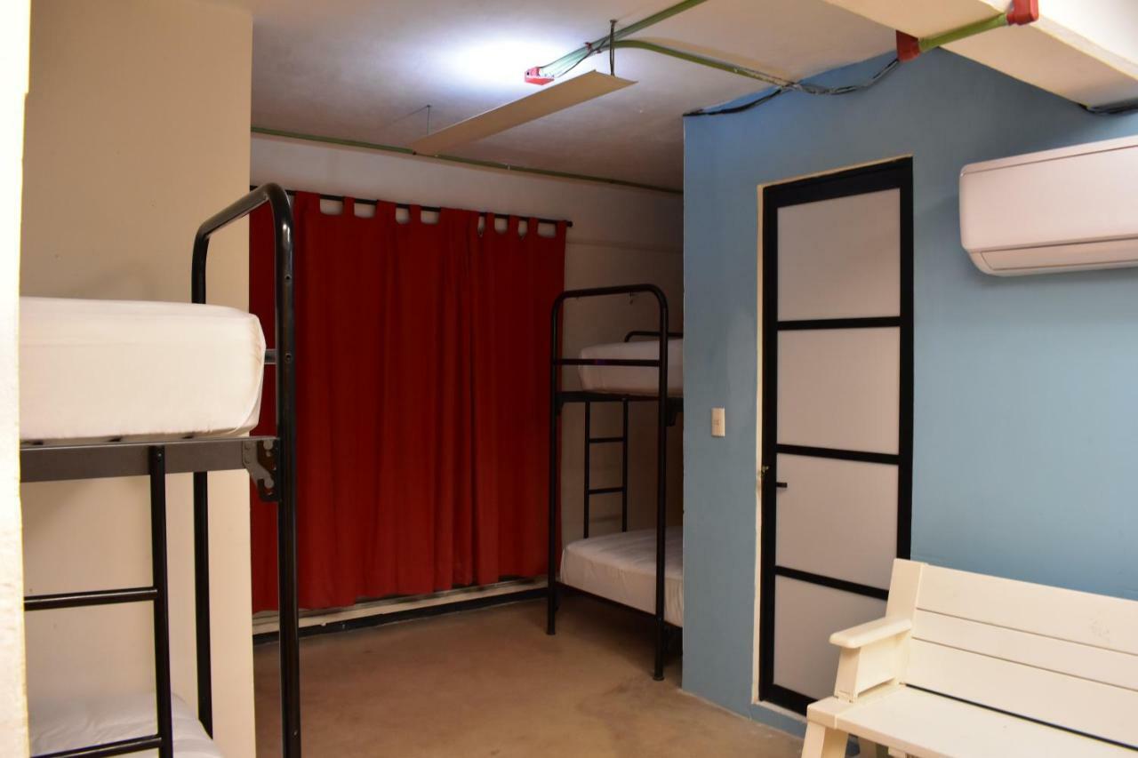 Tucan Albergue *